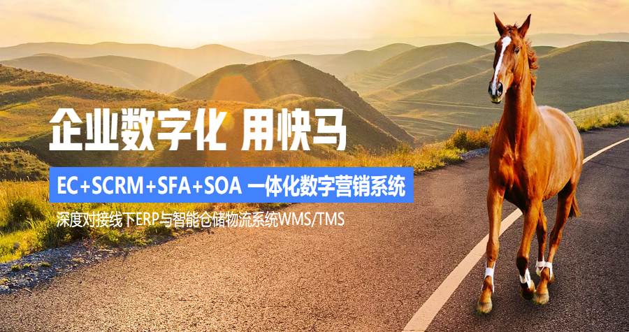 小程序商城|快馬數字